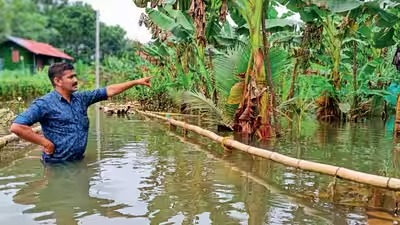 Mixed Cropping Helps Wayanad Farmers Reduce Weather Losses agri2