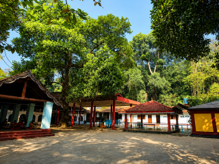 sree valliyoorkavu bhagavathi temple